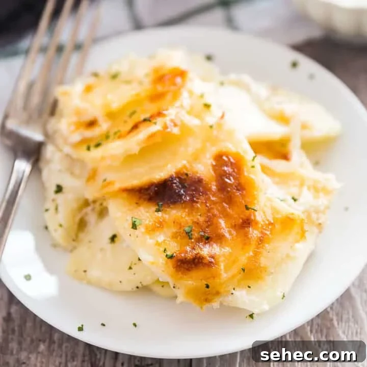 A plate of scalloped potatoes with a bowl of cheese and the pan of them in the background.