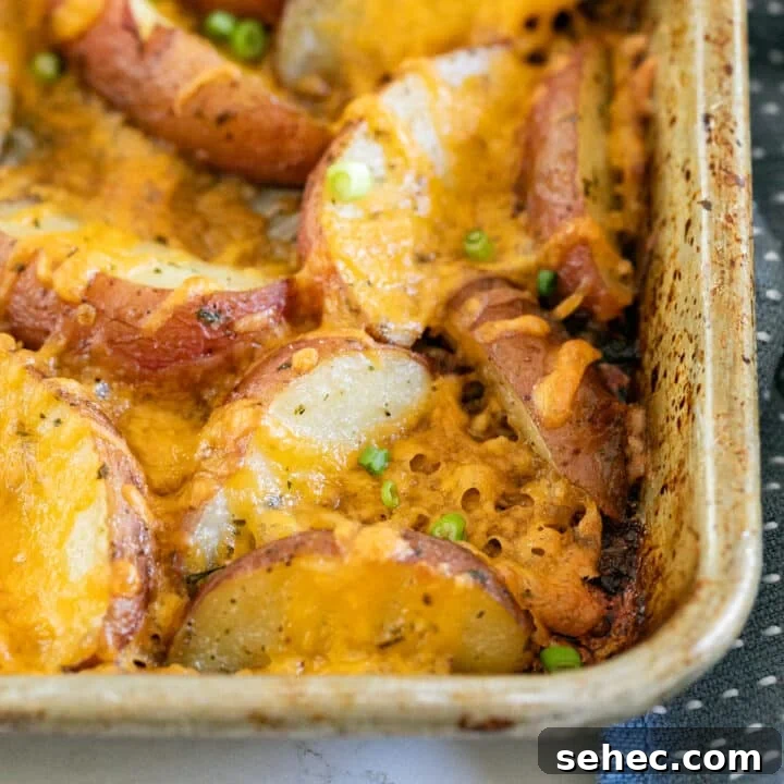 The corner of a pan of cheesy ranch potatoes.
