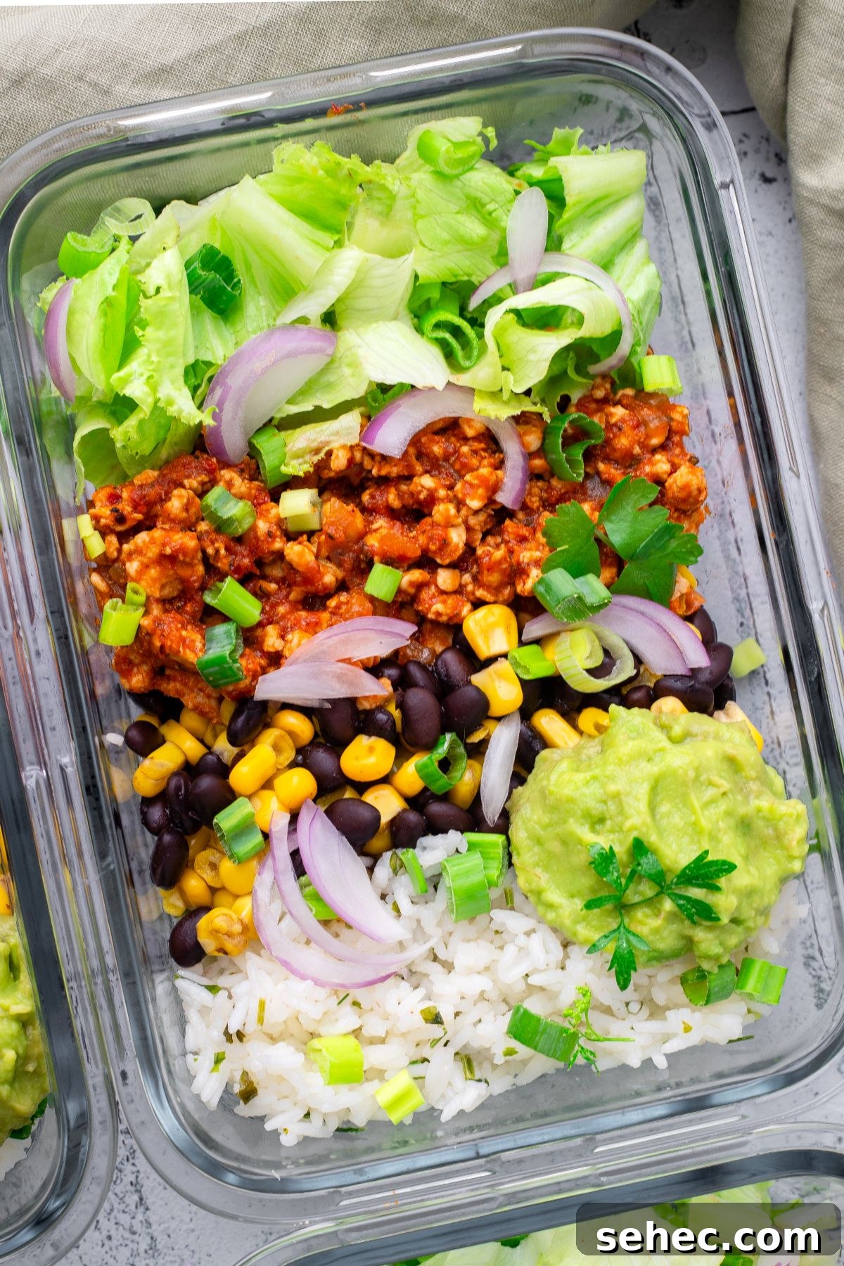 Turkey Taco Bowls with Rice and Fresh Toppings 2 Turkey Taco Bowls