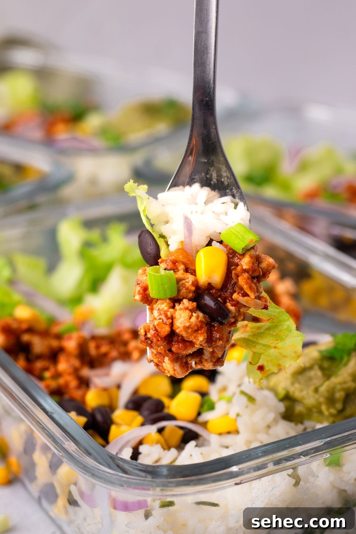 Turkey Taco Bowls with Rice and Fresh Toppings 11 Quick Turkey Taco Bowls