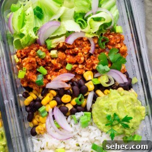 Turkey Taco Bowls with Rice and Fresh Toppings 12 turkey taco bowls