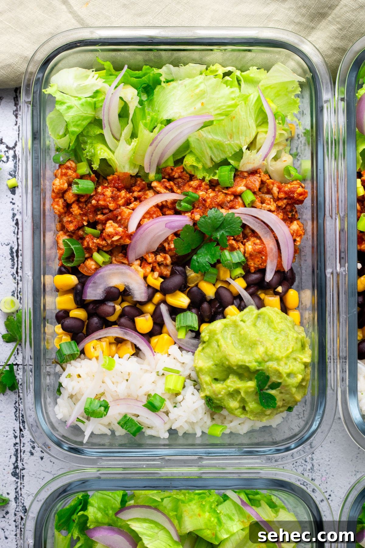 Turkey Taco Bowls with Rice and Fresh Toppings 10 Scrumptious Turkey Taco Bowls