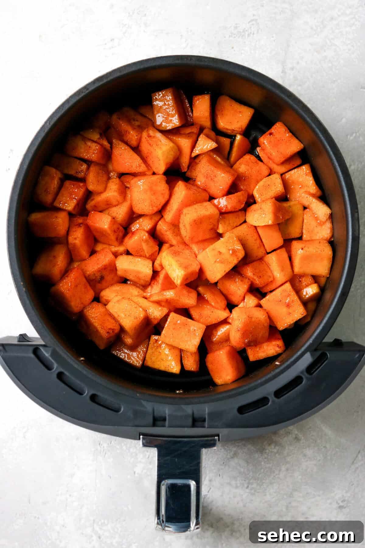 Air Fryer Butternut Squash with Oven Baked Option 5 uncooked butternut squash cubes in an air fryer