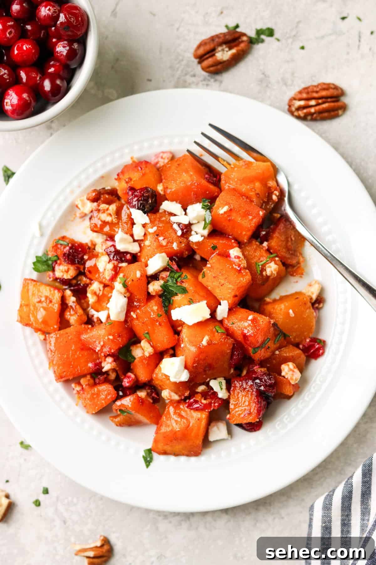 Air Fryer Butternut Squash with Oven Baked Option 8 butternut squash with feta and cranberries on a plate with a fork