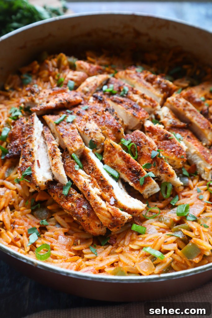 Creamy Cajun Chicken Orzo Skillet 3 img 1607 2