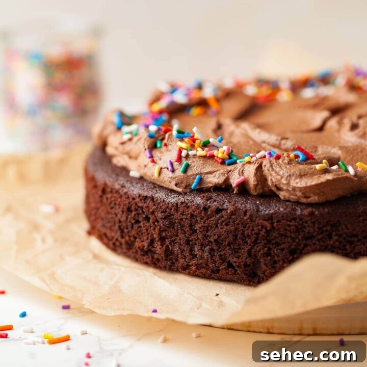 Gluten free sourdough chocolate cake with dark chocolate frosting