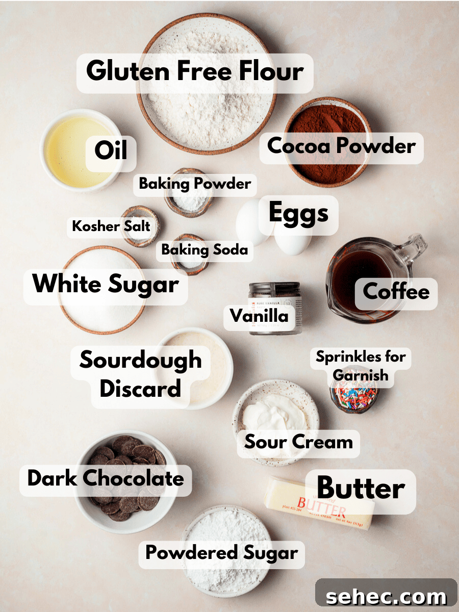 a collage of ingredients needed to make gluten free chocolate sourdough cake 