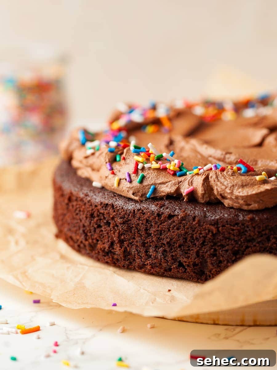 gluten free sourdough chocolate cake with a chocolate frosting and topped with sprinkles on parchment paper