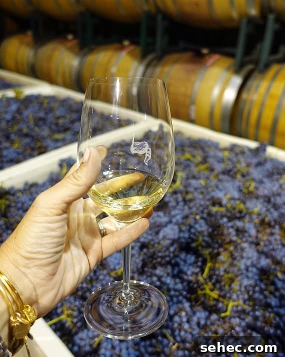 California Coastal Cruise – Santa Barbara A hand holding a glass of white wine with wine barrels in the background