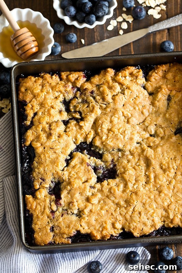 Blueberry Oatmeal Bars with Honey 4 Homemade Honey Blueberry Oatmeal Bars made with oats, honey, cinnamon, and blueberry jam.