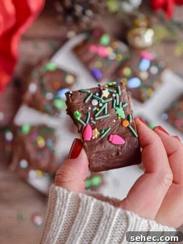 A hand is holding a piece of fudge.