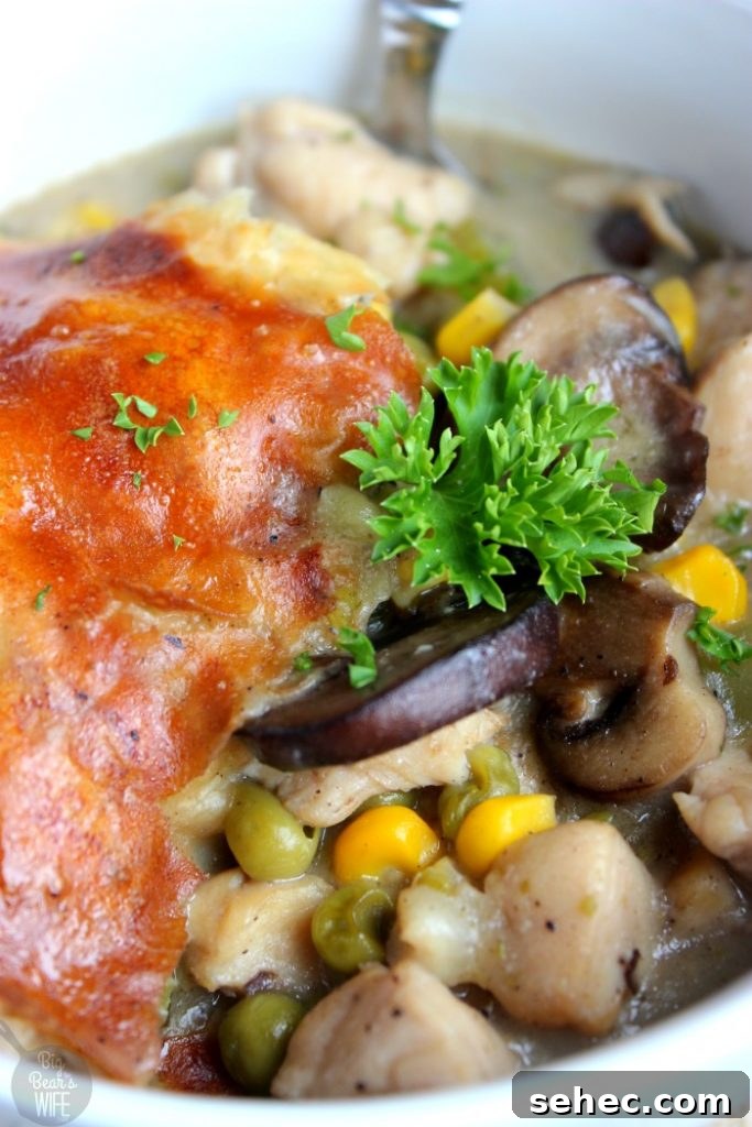 Skillet Marsala Chicken Pot Pie Recipe 7 Marsala Chicken Skillet Pot Pie