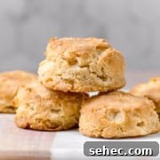 Fluffy Almond Milk Biscuits Recipe 12 healthy homemade fluffy almond milk biscuits