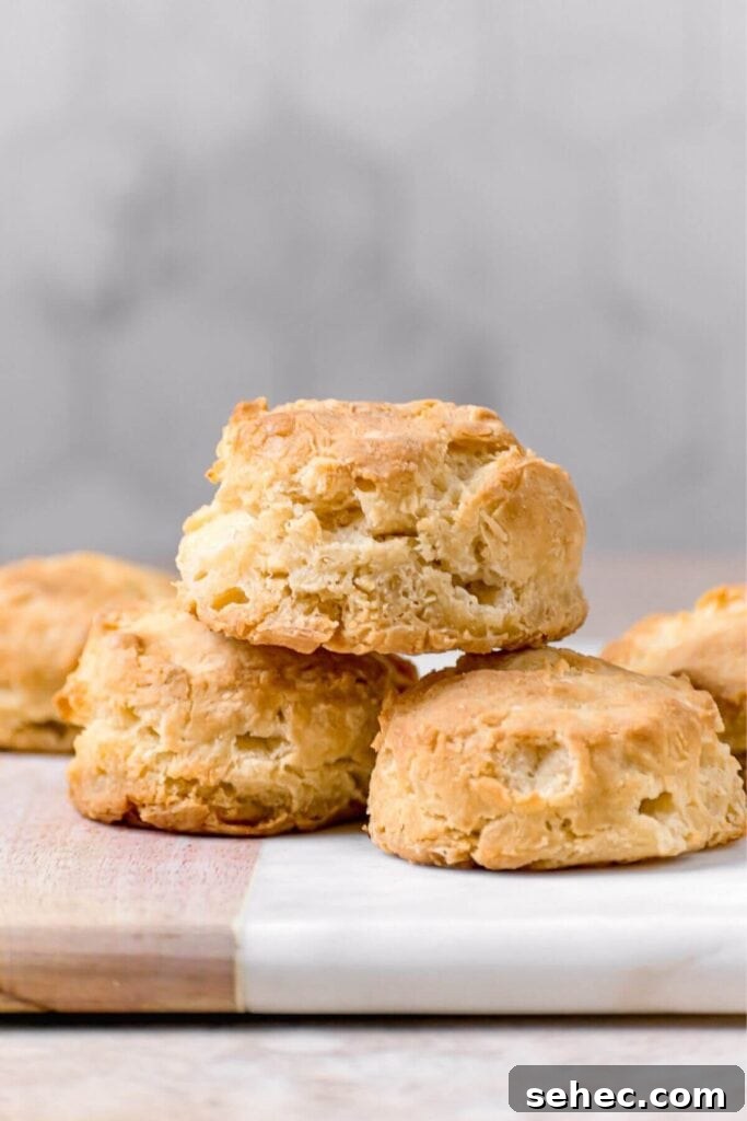 Fluffy Almond Milk Biscuits Recipe 3 homemade fluffy and flakey almond milk biscuits