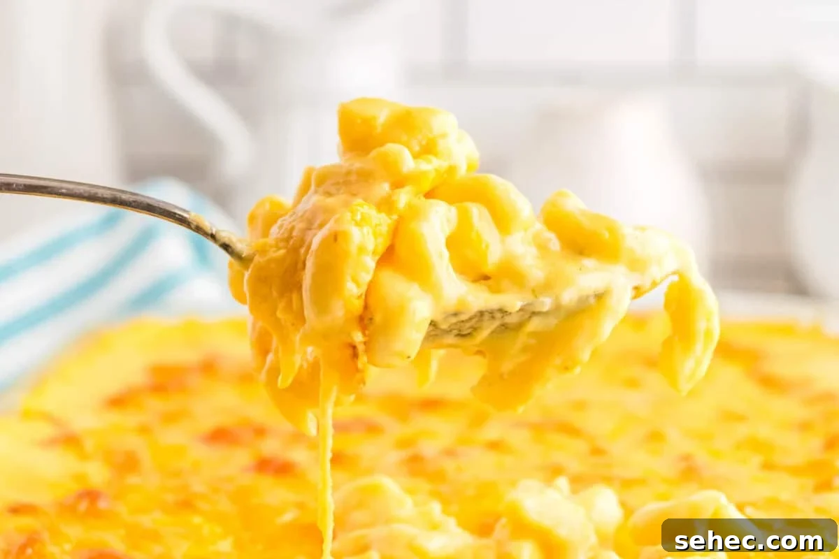 Creamy Eggless Mac and Cheese Recipe 2 A close-up of a fork lifting a cheesy portion of baked macaroni and cheese, with the dish in the background.
