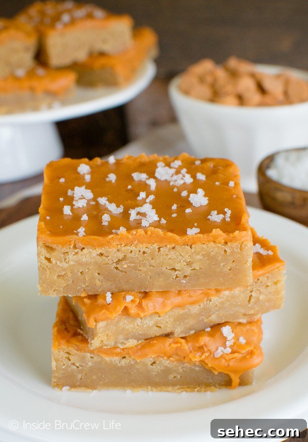 Salted Butterscotch Bars - these brownies are loaded with butterscotch chips and topped with sea salt. Perfect dessert recipe for sweet and salty lovers! Three Salted Butterscotch Bars stacked on a white plate