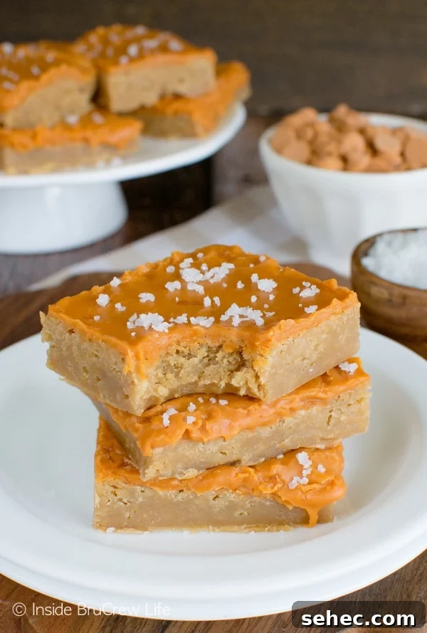 Salted Butterscotch Bars - sea salt and butterscotch chips are a great way to change up your normal brownies. Great dessert recipe! Three salted butterscotch bars on a white plate with a bite out of the top bar