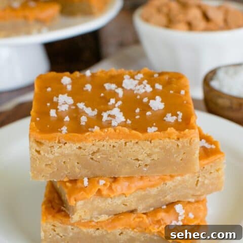 Salted Butterscotch Bars