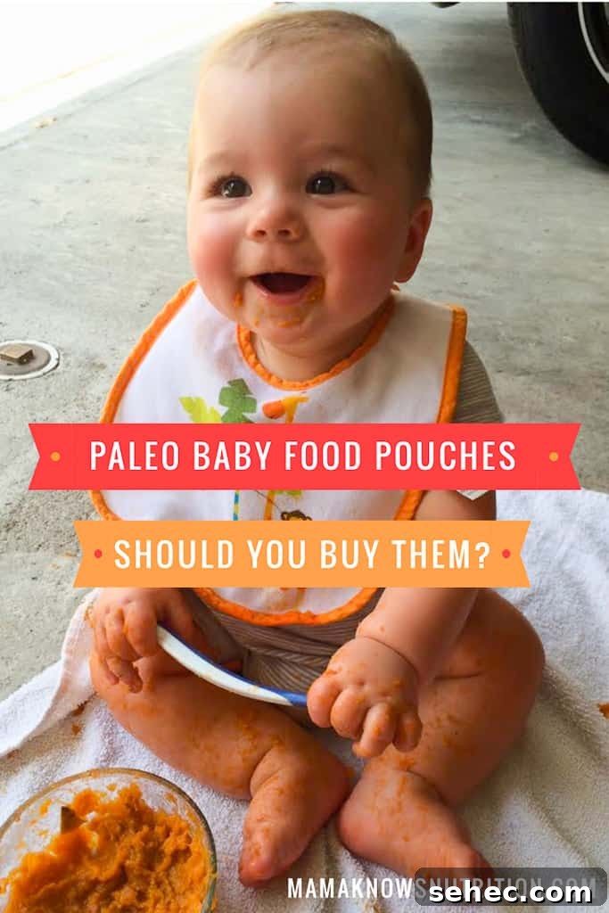 Paleo Baby Food: Is It Safe or a Scam? 2 Paleo Baby Food: Is it a Scam? | mamaknowsnutrition.com