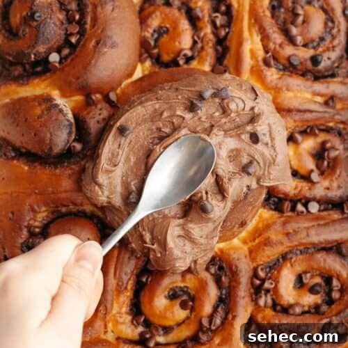 Chocolate cinnamon rolls with chocolate cream cheese icing.