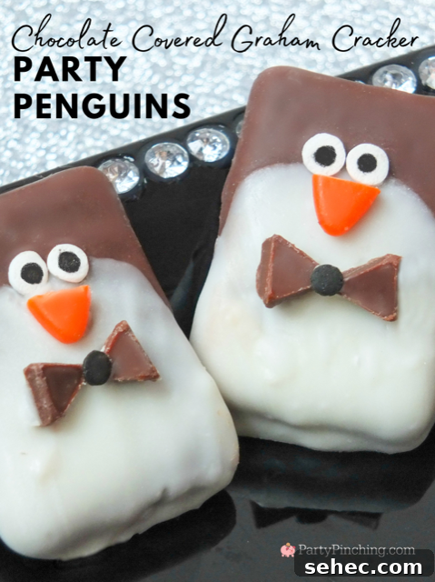 Party Penguin Graham Cracker Cookies 4 Chocolate covered graham cracker party penguins, black tie party penguin cookies, New Year's Eve party desserts, easy no-bake penguin cookies, cute penguin cookies, chocolate covered graham cracker cookies