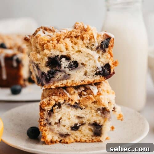A stack of two slices of crumb topped blueberry coffee cake.