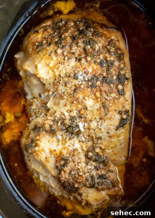 How to Cook a Juicy Turkey Breast in the Oven 8 Cooked slow cooker turkey breast