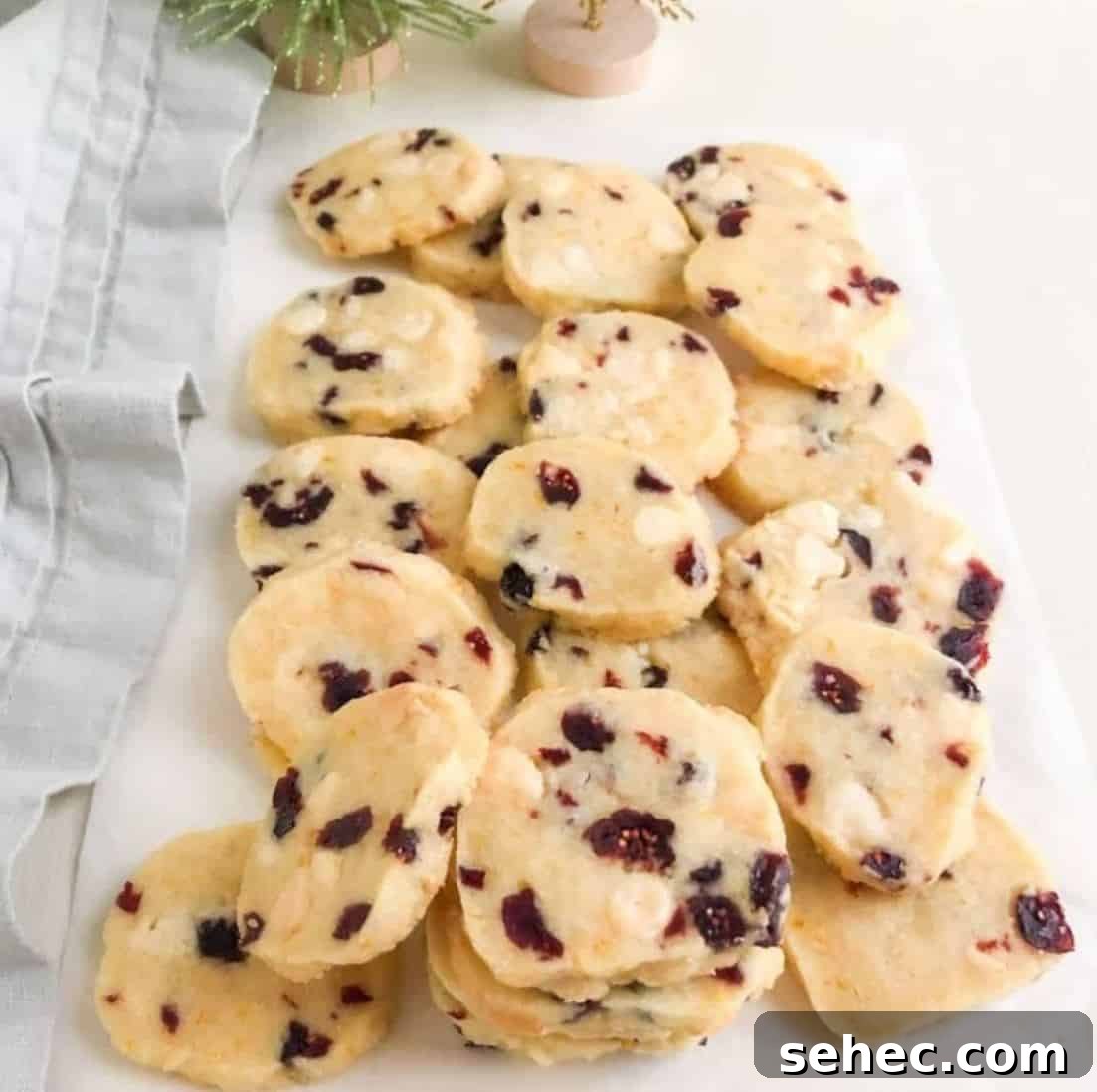 19 Big Batch Cookie Recipes for Parties and Crowds 17 Shortbread cookies with cranberries on a white counter with a grey towel.