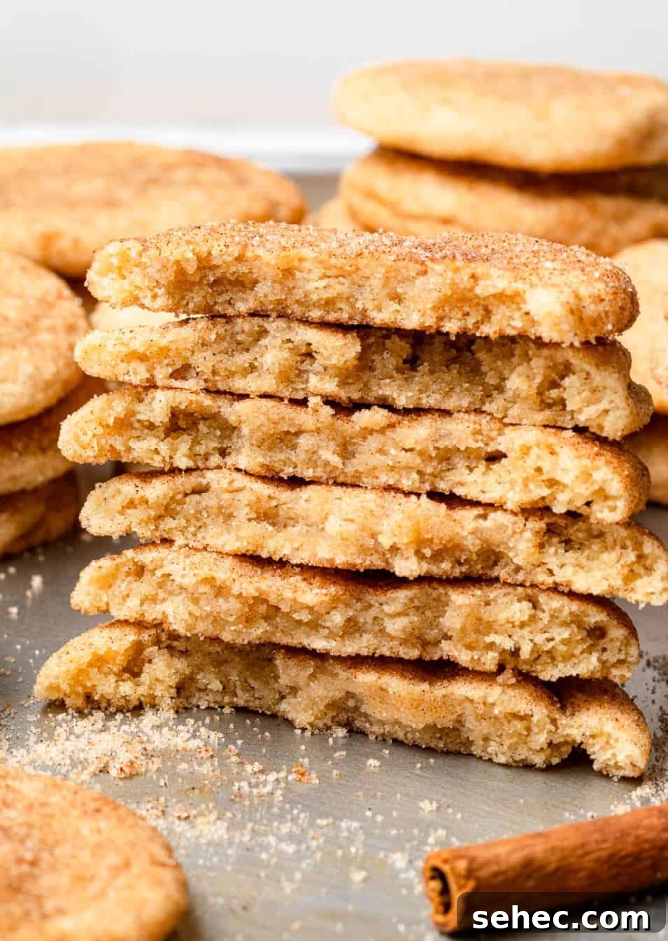 19 Big Batch Cookie Recipes for Parties and Crowds 18 Cookies cut in half and stacked on top of each other with a cinnamon stick.