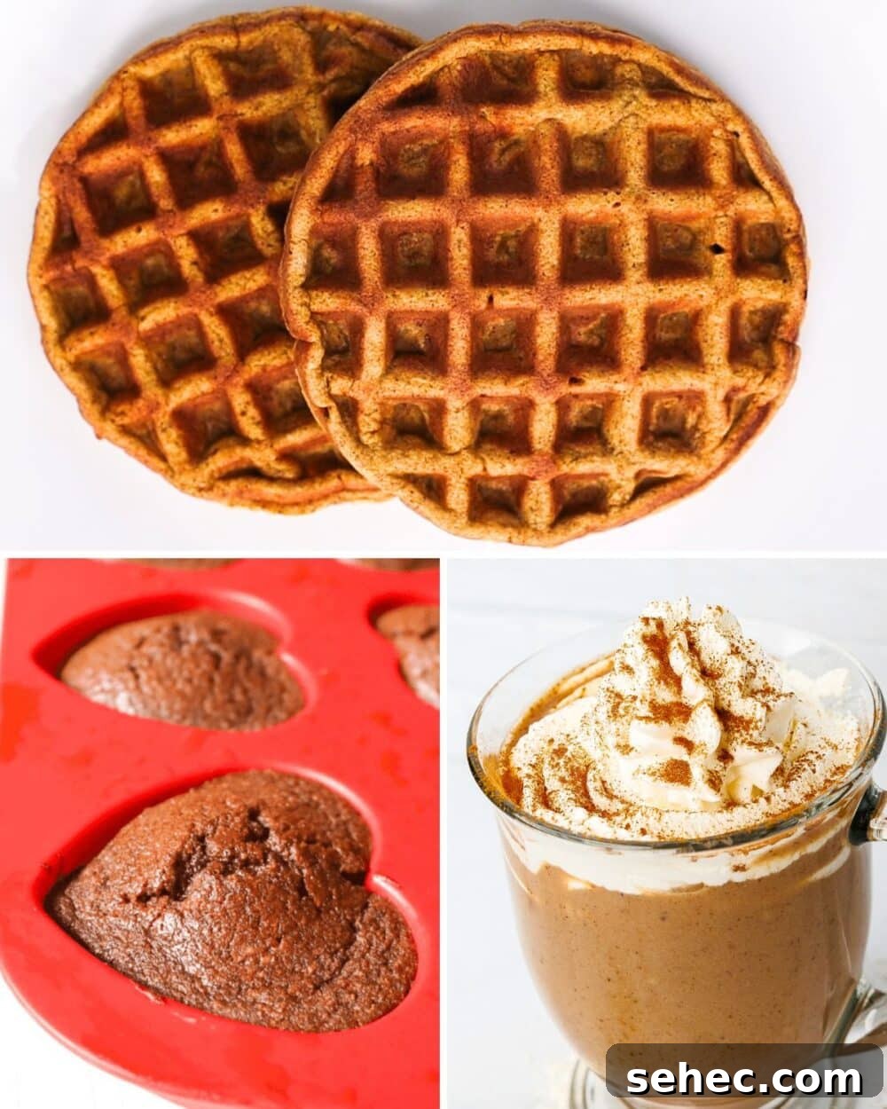 25 High Protein Low Carb Breakfast Ideas for Busy Mornings 2 img 20244 1