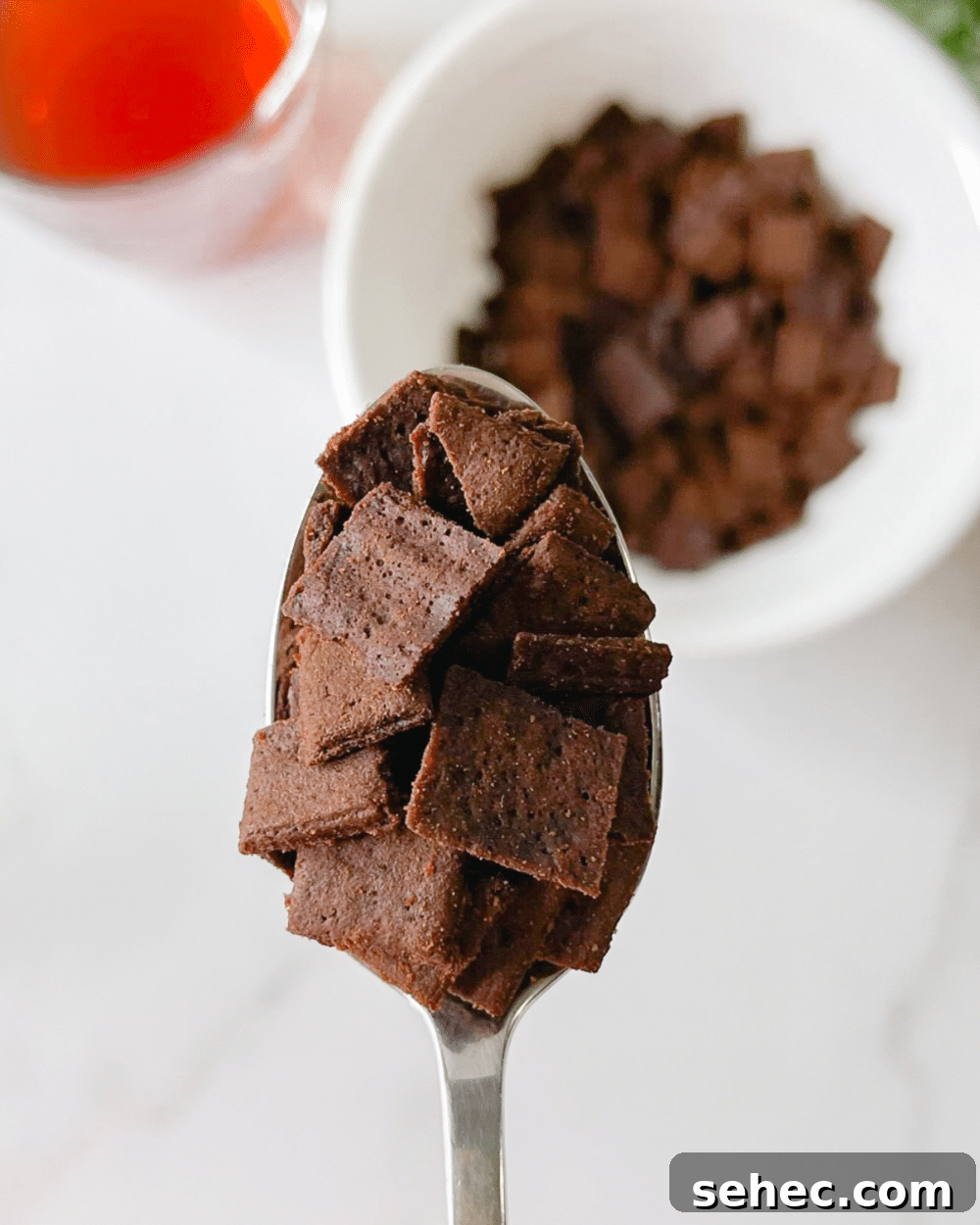 25 High Protein Low Carb Breakfast Ideas for Busy Mornings 12 keto chocolate cereal on spoon