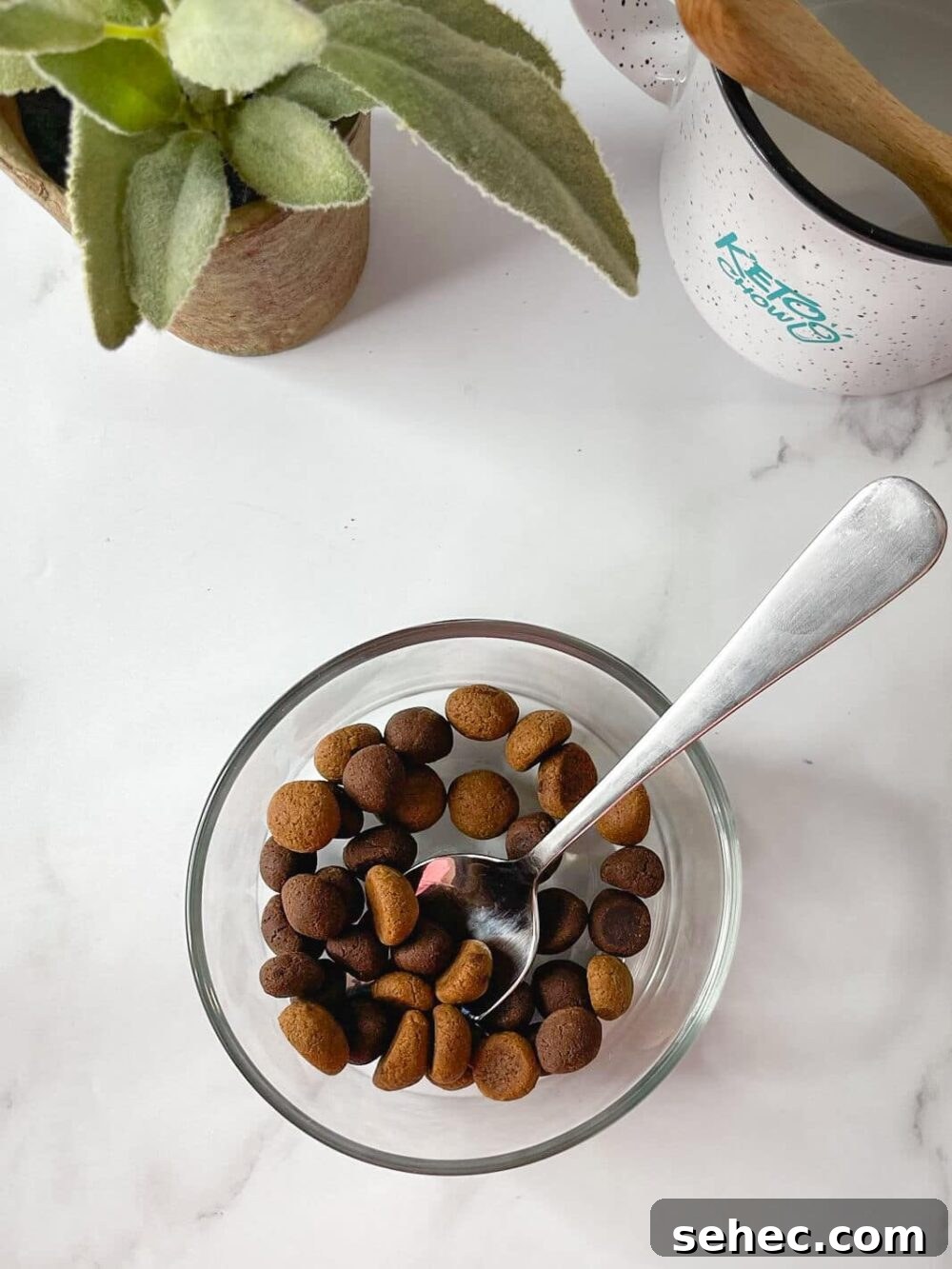 25 High Protein Low Carb Breakfast Ideas for Busy Mornings 13 img 20244 12