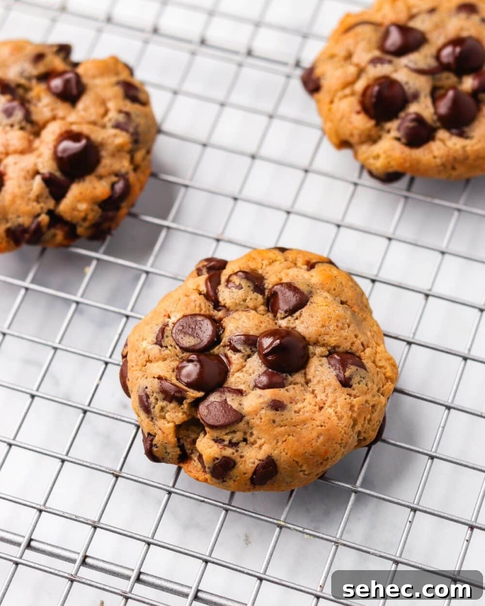 25 High Protein Low Carb Breakfast Ideas for Busy Mornings 6 Chocolate Chip Protein Cookies