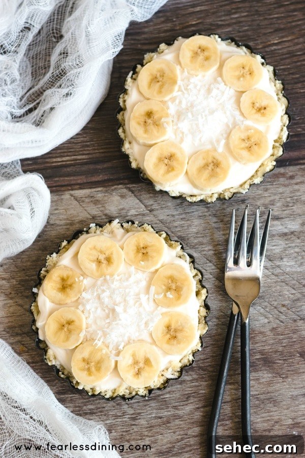 No-Bake Greek Yogurt Tart Recipe 4 The top view of two banana cream Greek yogurt tarts.