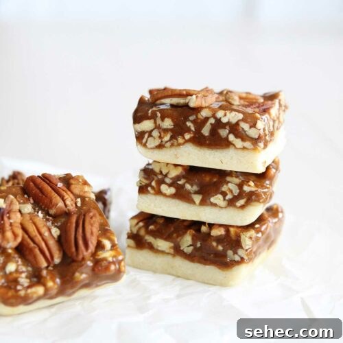 Over 20 No-Bake Collagen Peptides Recipes to Try 13 Collagen Peptides Pecan Pie Bars (No-Bake)