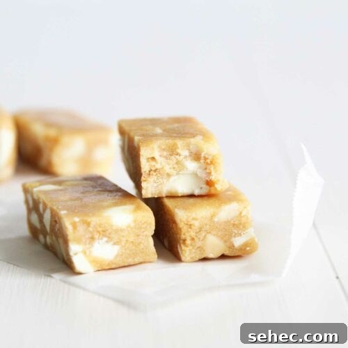 Over 20 No-Bake Collagen Peptides Recipes to Try 17 img 21080 17