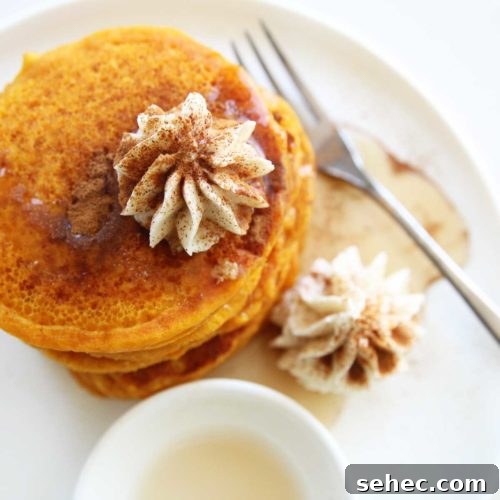 Over 20 No-Bake Collagen Peptides Recipes to Try 23 Pumpkin Pancakes Using Collagen Peptides Powder