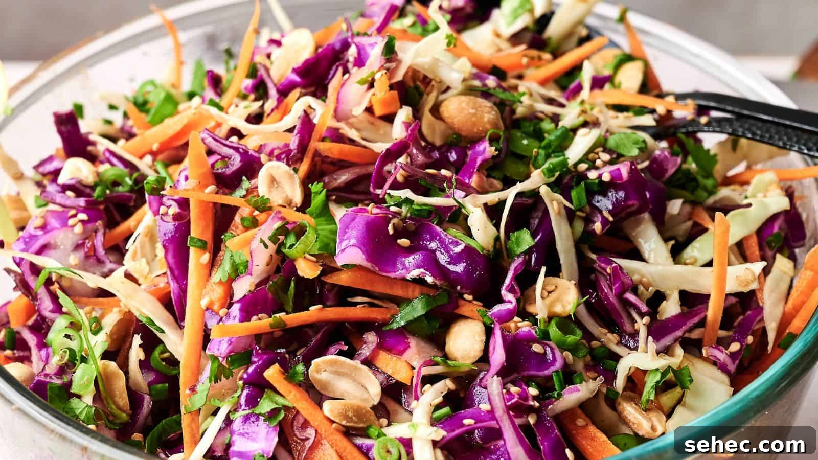 17 Budget Cookout Recipes That Save Room for Better Burgers 5 A bowl of colorful coleslaw with shredded purple and green cabbage, carrots, chopped peanuts, and greens, mixed with dressing.