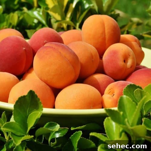 How to Freeze Peaches for Fresh Flavor Year Round 4 Peaches