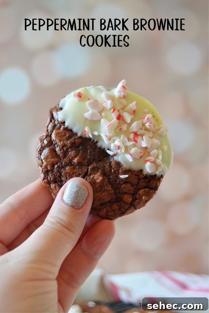 Peppermint Bark Brownie Cookies Recipe 2 author holding a single peppermint bark brownie cookie to show texture and detail