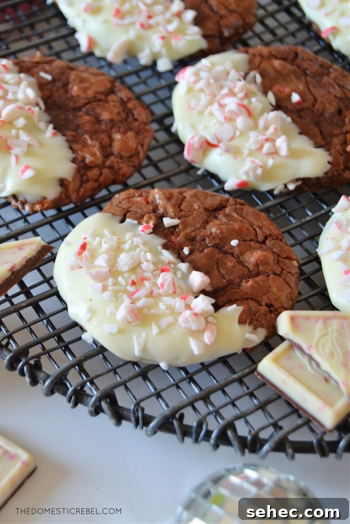 Peppermint Bark Brownie Cookies Recipe 4 peppermint bark brownie cookies arranged in rows on a black wire rack with peppermint bark pieces scattered about