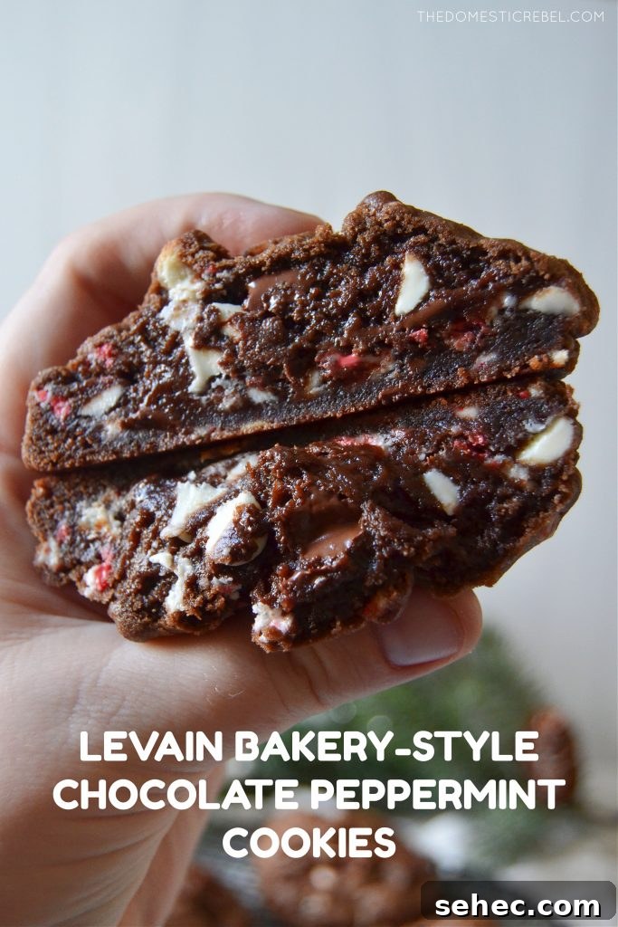 Peppermint Bark Brownie Cookies Recipe 7 the author holding an opened chocolate peppermint cookie to show texture