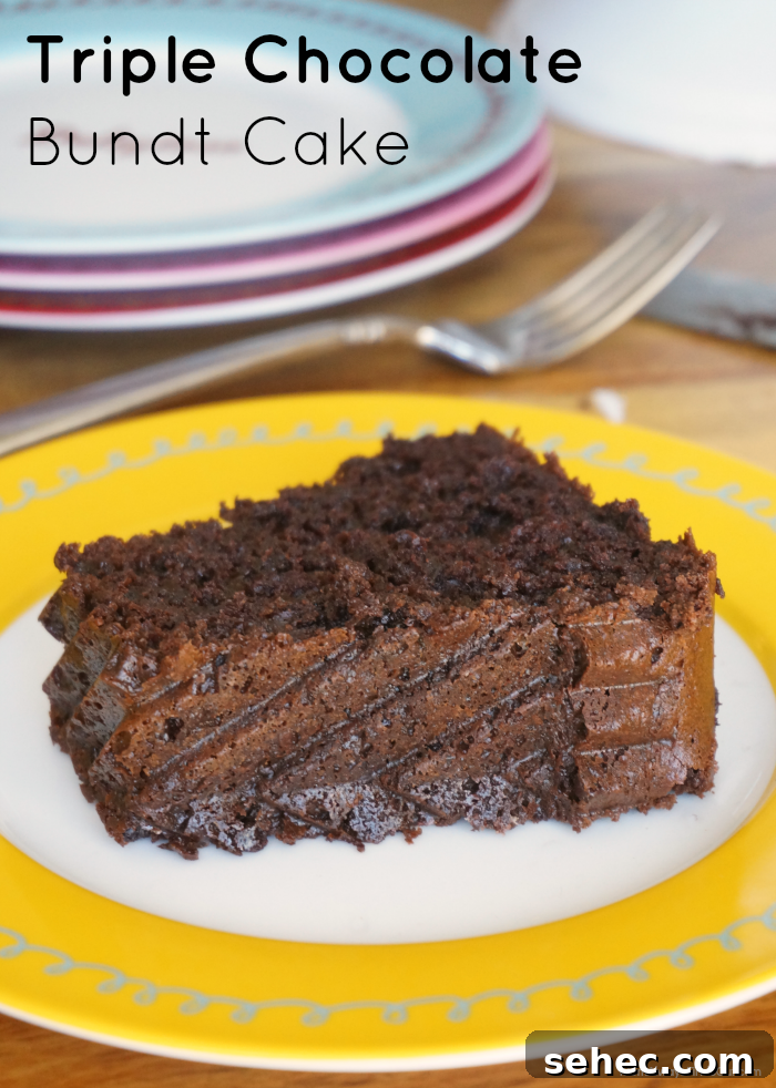 Triple Chocolate Cake Recipe with Rich Chocolate Ganache 6 easy chocolate cake recipe