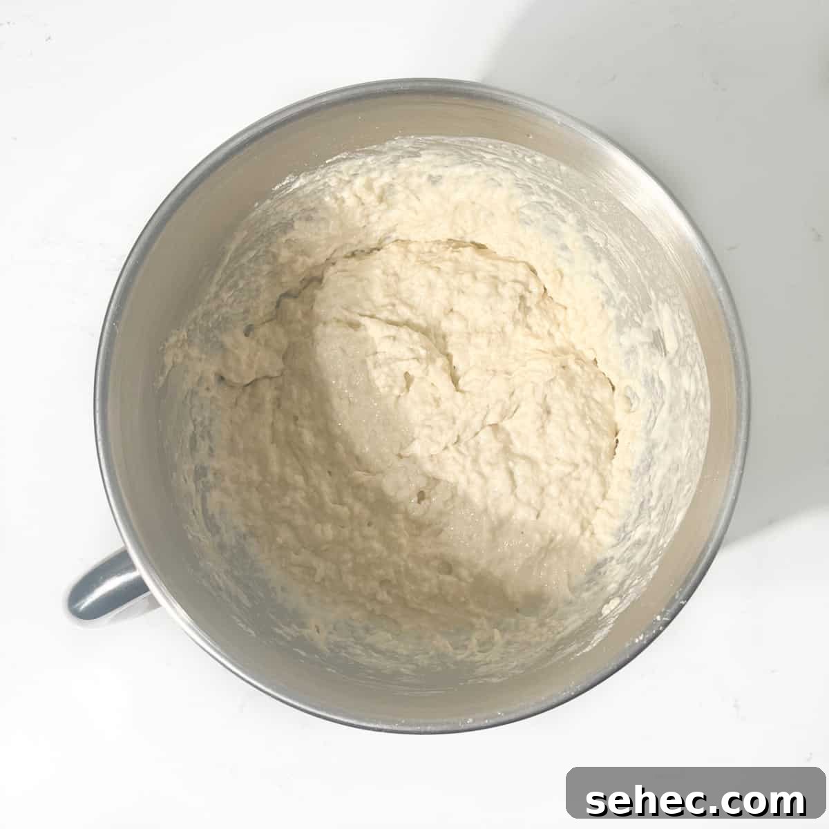 How to Make Authentic South African Vetkoek 8 Mixed Vetkoek ingredients in a large mixing bowl.