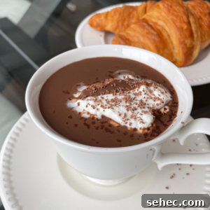 Rich Homemade Hot Chocolate Recipe 2 French hot chocolate in a cup