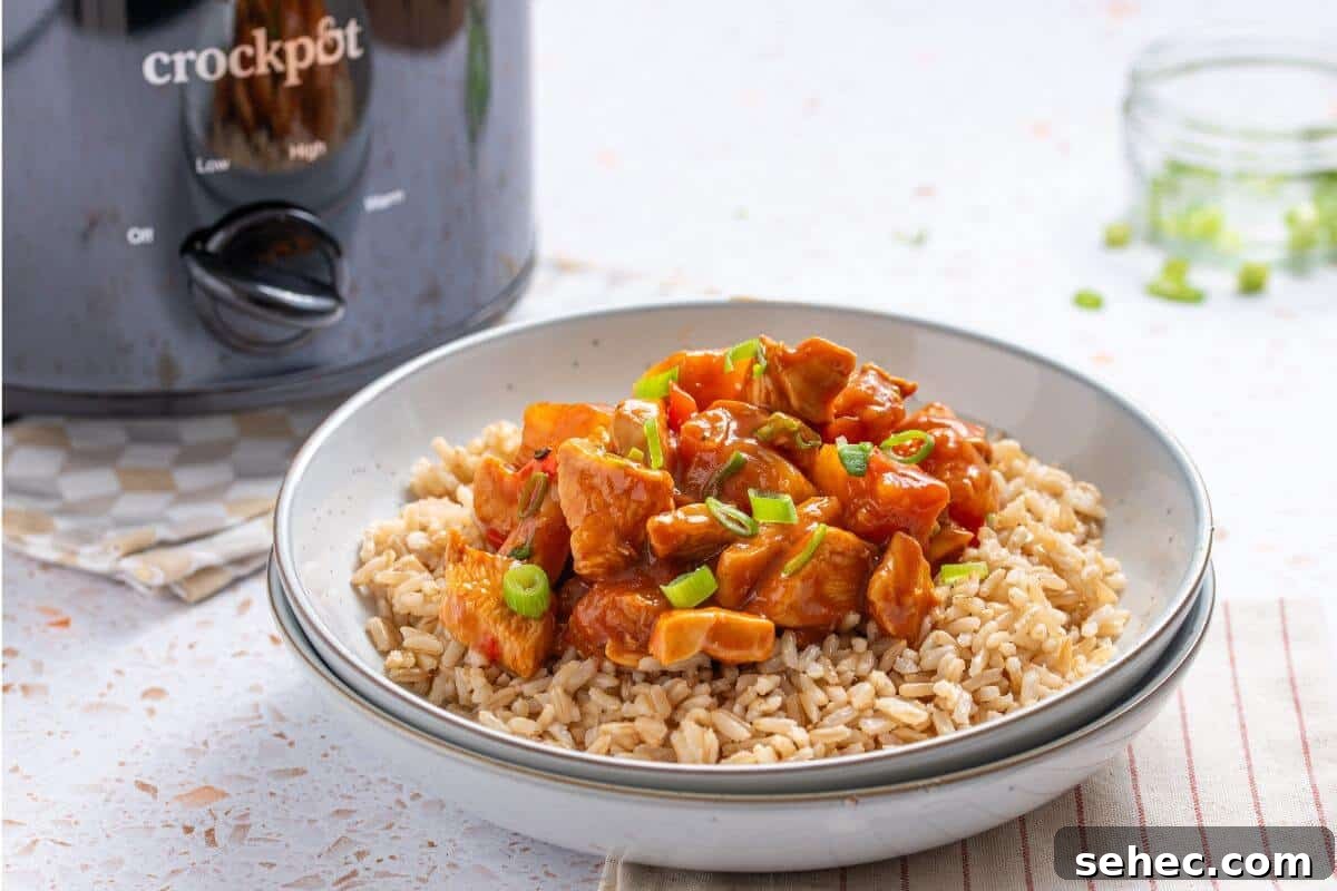 19 Weeknight Dinner Recipes You’ll Want to Cook Again 3 A bowl of rice and chicken in front of a crockpot.