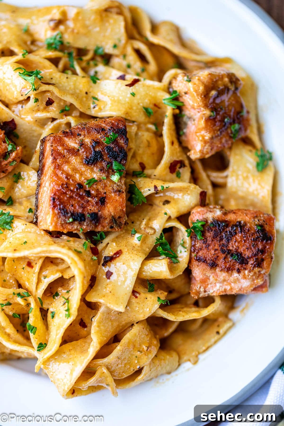 Creamy Cajun Salmon Pasta 3 Cajun Pasta with Salmon with fresh parsley.