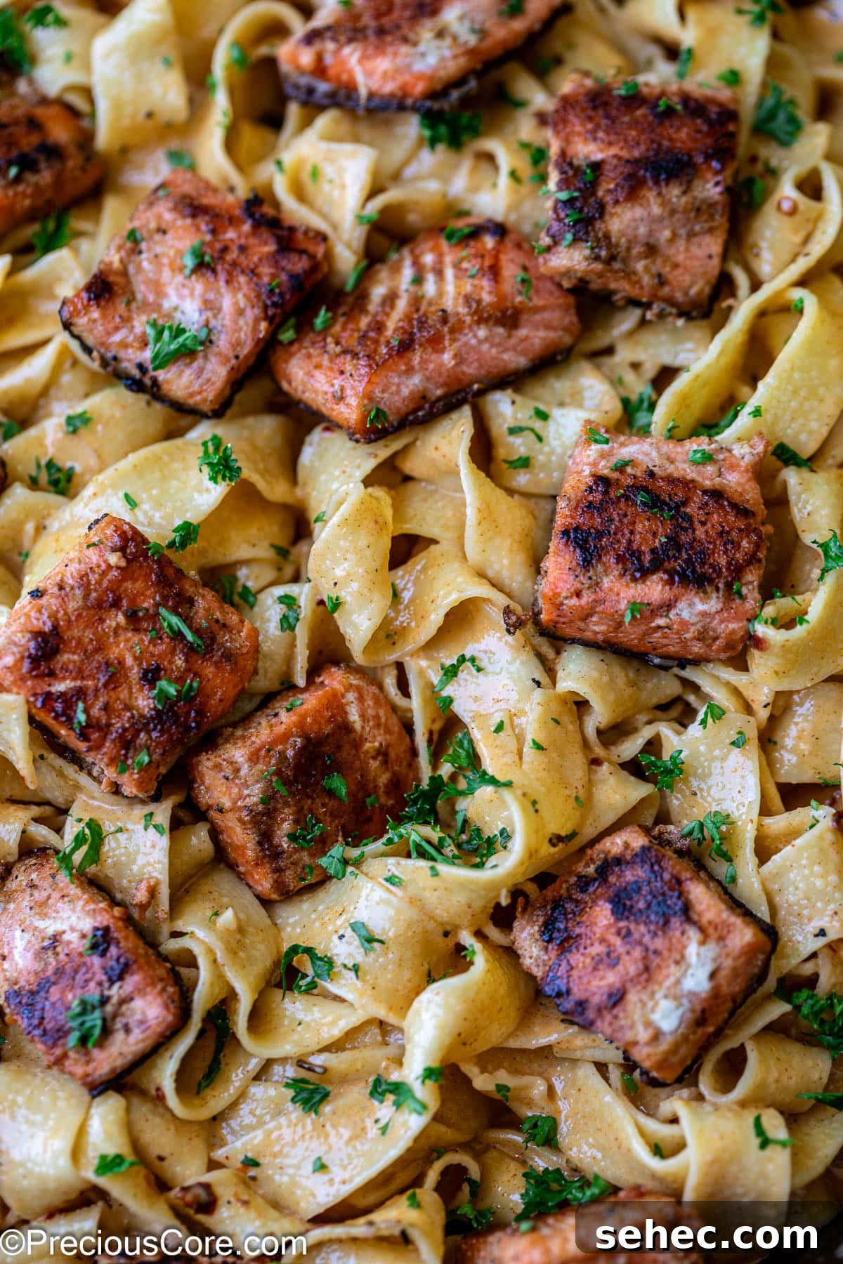 Creamy Cajun Salmon Pasta 5 Cajun pasta with creamy sauce and salmon pieces.
