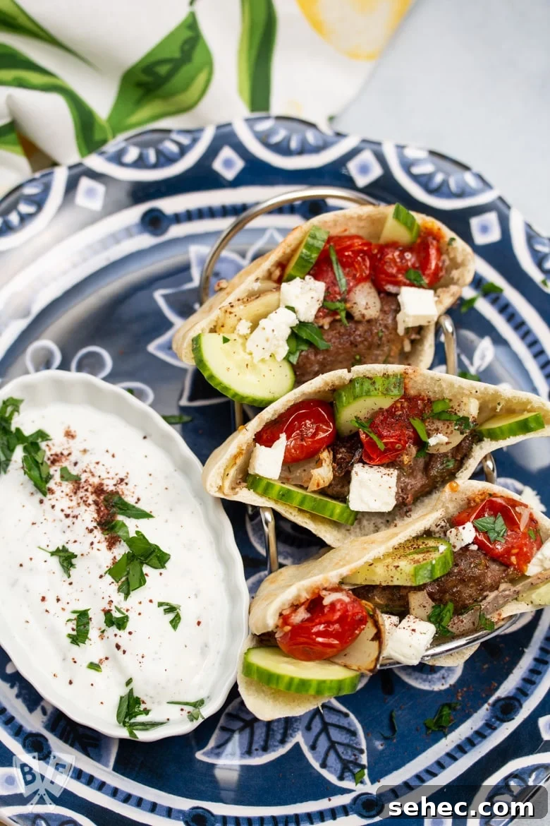 Sheet Pan Chicken Kebabs with Vegetables 7 Overhead view of Broiler Kebab served in pita bread with a side of mast-o-khiar yogurt sauce.