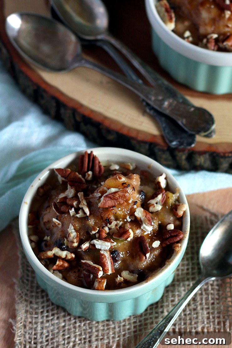 Spiced Apple Oatmeal Brulee Recipe 2 Apple Oatmeal Brulee